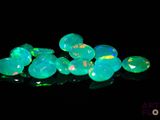 some green fire oplites are glowing in the dark