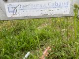 Photo 37/50 du lot