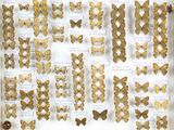 de nombreux types de papillons exposés dans une vitrine