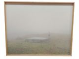 a picture of a picture of a person in a foggy field