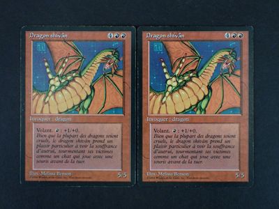 Ce sont deux cartes sur lesquelles figurent respectivement un dragon et un dragon.
