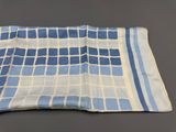 a close up of a blue and white checkered handkerchief on a table