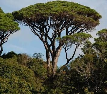 Destockage & Invendus