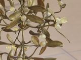a chandelier with a bunch of flowers hanging from the ceiling