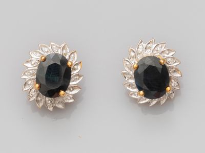 Paire de boucles d'oreilles en or deux tons 750°/°°(18K), se…