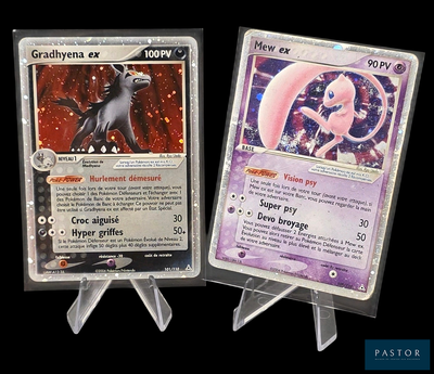 deux cartes Pokémon exposées sur un fond noir