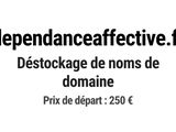 Photo 1/1 du lot