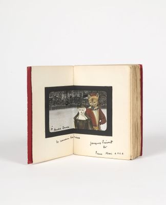 un livre sur lequel figure l'image d'un chien