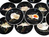 a lot of plates with shells on them on a table