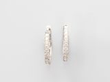 une paire de boucles d'oreilles en diamant sur fond blanc
