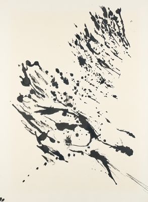 an image of a black and white drawing of a bird