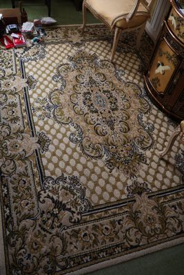 un salon avec un tapis et un fauteuil