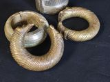 two snakes that are sitting next to each other