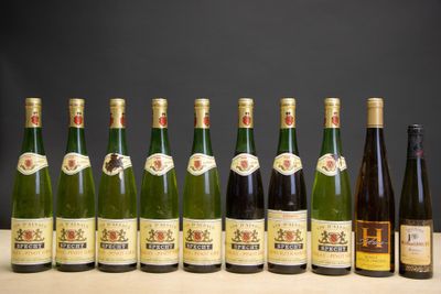plusieurs bouteilles de vin sont alignées sur une table