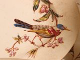 a plate with a bird painted on it sitting on a table