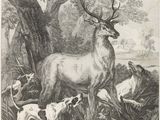 a black and white drawing of a deer and dogs in a wooded area
