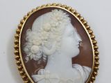 a close up of a picture of a woman ' s head in a gold frame