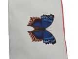 une petite pochette ornée d'un papillon bleu