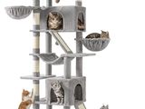 Deux chats jouent avec un arbre à chat sur un fond blanc.