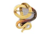 a picture of a brooch with a snake on it