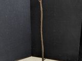 porte-manteaux en forme de branche d'arbre, placé dans un coin d'une pièce au mur noir