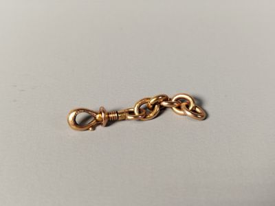 Gros plan sur une chaîne en or munie d'un fermoir