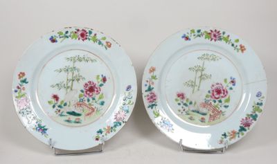 deux assiettes ornées de fleurs et d'oiseaux sur un fond blanc