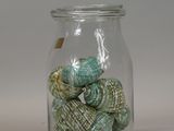 a glass jar with sea shells in it on a table