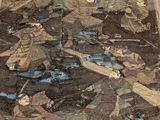 an image of a piece of cloth that has been torn off