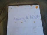 Photo 3/8 du lot