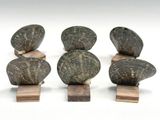 three pieces of wood stacked on top of each other on a white surface