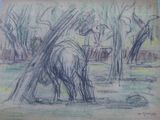 dessin au crayon représentant un éléphant debout dans un champ, avec des arbres en arrière-plan