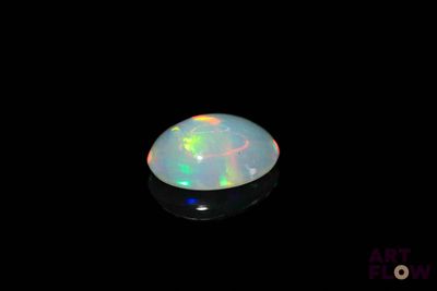 an oplite in the dark with a black background