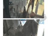 two pictures of mannequins in a shop window