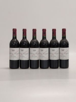 six bouteilles de vin rouge alignées sur une surface blanche
