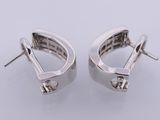 an image of a pair of silver earrings on a white surface