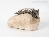 a sculpture of a wolf on a rock on a white surface