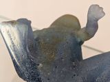 a frog that is sitting on top of a glass table