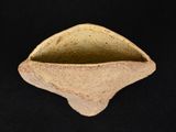 a small piece of pottery that is sitting on a black surface