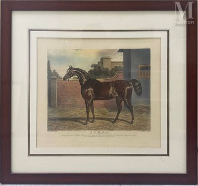 framed print of a horse in a stable by a brick wall
