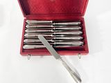 five knives in a red case on a white surface