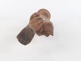 an old wooden dog toy laying in the snow on a white surface