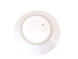 a white plate with a white rim on a white table
