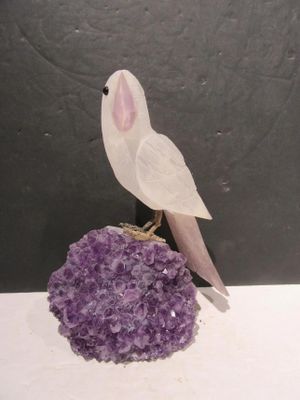 un oiseau blanc perché sur un rocher violet