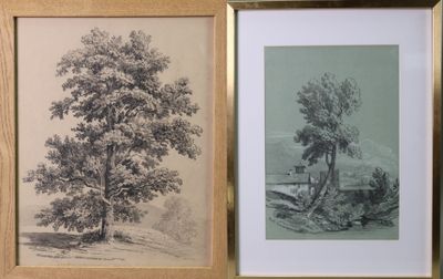 deux photos encadrées représentant un arbre et un banc