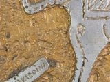 a close up of a gold plate with a horse on it