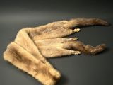 une image représentant la queue d'un animal à fourrure posée sur une surface noire