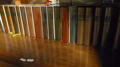 de nombreux livres alignés par terre, près d'une clôture