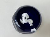 une image représentant un cheval noir et blanc sur fond bleu
