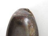 a bronze sculpture of a shell on a white surface